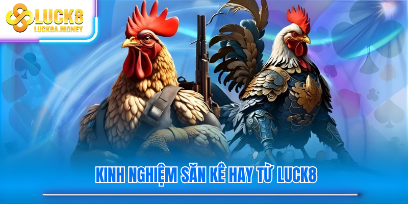 Kinh nghiệm săn kê hay từ luck8